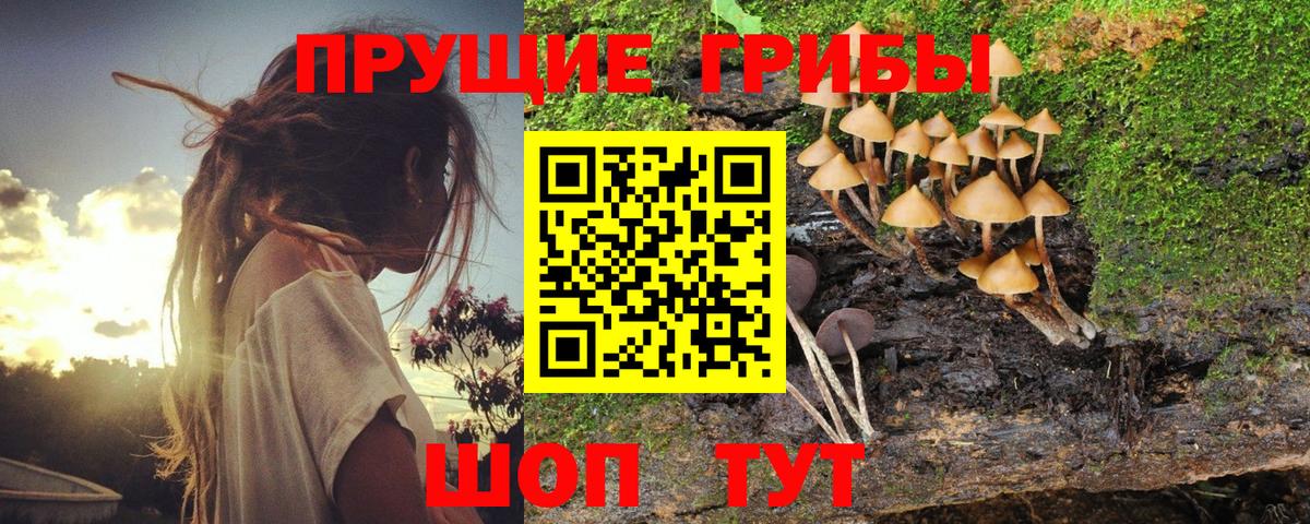 Галлюциногенные грибы мухоморы  Вход с VPN  Псилоцибиновые грибы Psilocybe  Кыштым 
